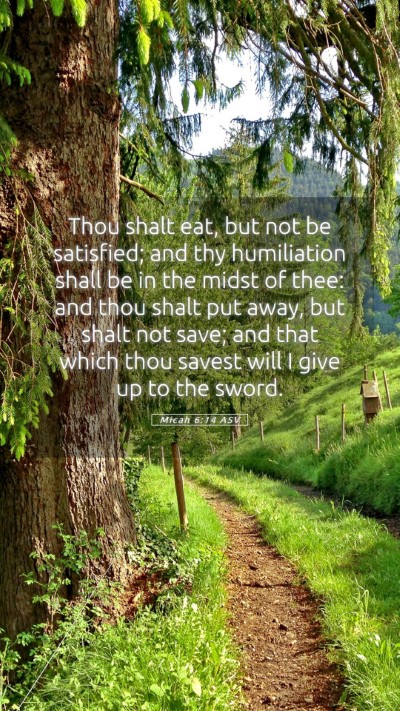 Picture 05 - Micah 6:14 ASV Mobile Phone Wallpaper - Thou shalt eat, but not be satisfied; and thy - Mobile Bible Verse Wallpaper