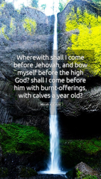 Picture 05 - Micah 6:6 ASV Mobile Phone Wallpaper - Wherewith shall I come before Jehovah, and bow - Mobile Bible Verse Wallpaper