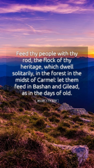 Picture 05 - Micah 7:14 ASV Mobile Phone Wallpaper - Feed thy people with thy rod, the flock of thy - Mobile Bible Verse Wallpaper