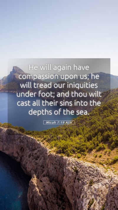 Picture 05 - Micah 7:19 ASV Mobile Phone Wallpaper - He will again have compassion upon us; he will - Mobile Bible Verse Wallpaper