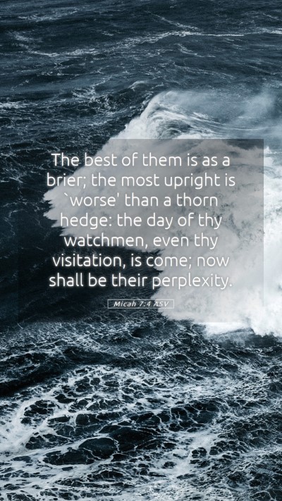 Picture 05 - Micah 7:4 ASV Mobile Phone Wallpaper - The best of them is as a brier; the most upright - Mobile Bible Verse Wallpaper