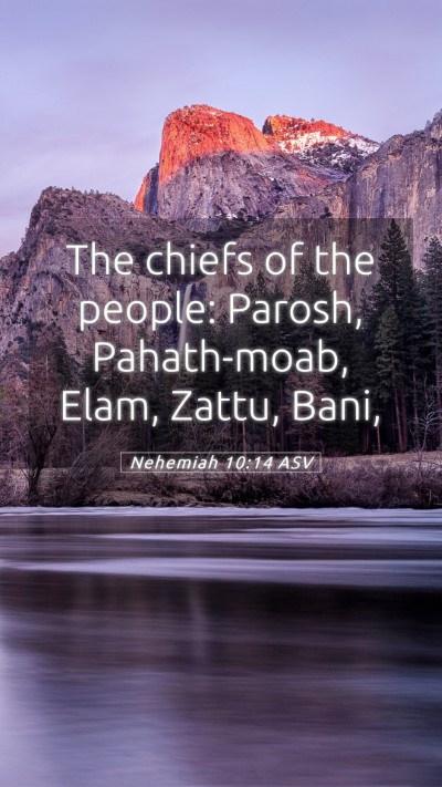 Picture 05 - Nehemiah 10:14 ASV Mobile Phone Wallpaper - The chiefs of the people: Parosh, Pahath-moab, - Mobile Bible Verse Wallpaper