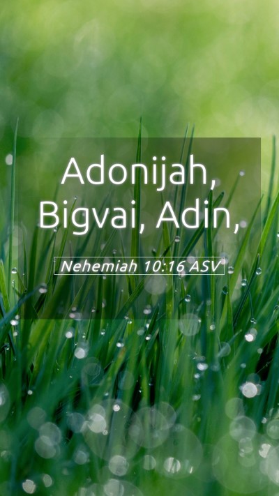 Picture 05 - Nehemiah 10:16 ASV Mobile Phone Wallpaper - Adonijah, Bigvai, - Mobile Bible Verse Wallpaper