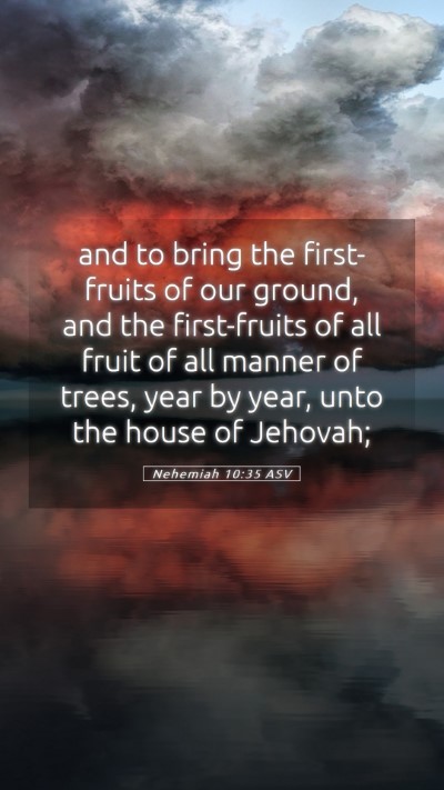 Picture 05 - Nehemiah 10:35 ASV Mobile Phone Wallpaper - and to bring the first-fruits of our ground, and - Mobile Bible Verse Wallpaper