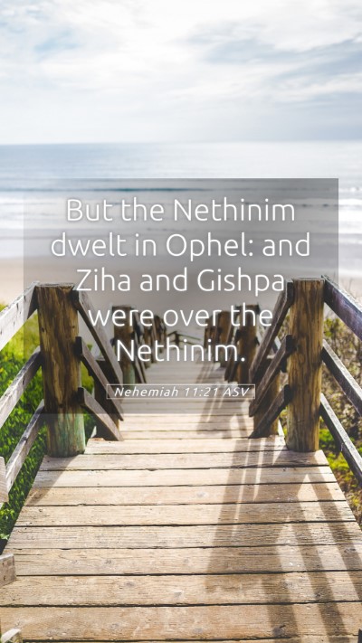 Picture 05 - Nehemiah 11:21 ASV Mobile Phone Wallpaper - But the Nethinim dwelt in Ophel: and Ziha and - Mobile Bible Verse Wallpaper
