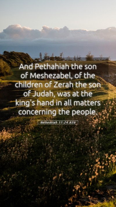 Picture 05 - Nehemiah 11:24 ASV Mobile Phone Wallpaper - And Pethahiah the son of Meshezabel, of the - Mobile Bible Verse Wallpaper