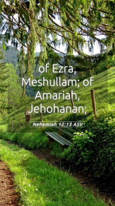 Picture 05 - Nehemiah 12:13 ASV Mobile Phone Wallpaper - of Ezra, Meshullam; of Amariah, - Mobile Bible Verse Wallpaper