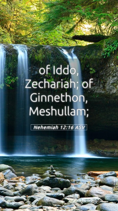 Picture 05 - Nehemiah 12:16 ASV Mobile Phone Wallpaper - of Iddo, Zechariah; of Ginnethon, - Mobile Bible Verse Wallpaper