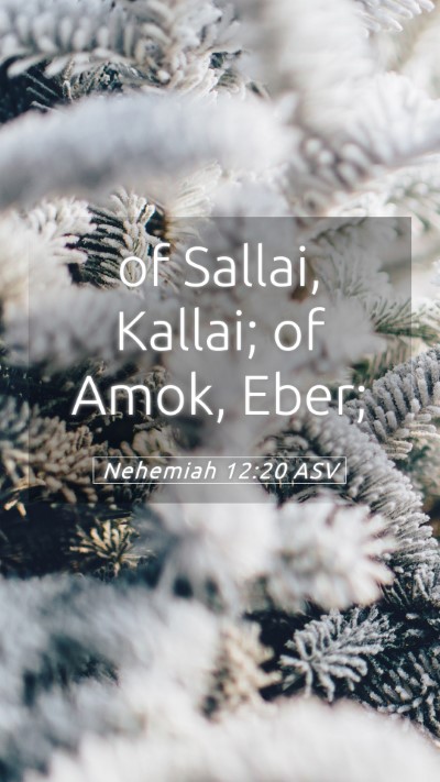Picture 05 - Nehemiah 12:20 ASV Mobile Phone Wallpaper - of Sallai, Kallai; of Amok, - Mobile Bible Verse Wallpaper