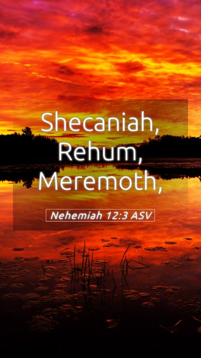 Picture 05 - Nehemiah 12:3 ASV Mobile Phone Wallpaper - Shecaniah, Rehum, - Mobile Bible Verse Wallpaper