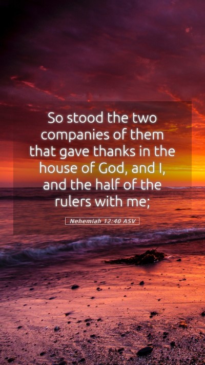 Picture 05 - Nehemiah 12:40 ASV Mobile Phone Wallpaper - So stood the two companies of them that gave - Mobile Bible Verse Wallpaper