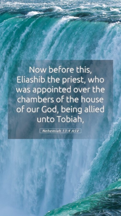 Picture 05 - Nehemiah 13:4 ASV Mobile Phone Wallpaper - Now before this, Eliashib the priest, who was - Mobile Bible Verse Wallpaper