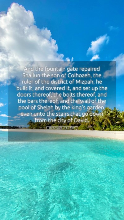 Picture 05 - Nehemiah 3:15 ASV Mobile Phone Wallpaper - And the fountain gate repaired Shallun the son of - Mobile Bible Verse Wallpaper