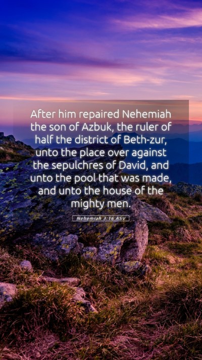 Picture 05 - Nehemiah 3:16 ASV Mobile Phone Wallpaper - After him repaired Nehemiah the son of Azbuk, the - Mobile Bible Verse Wallpaper