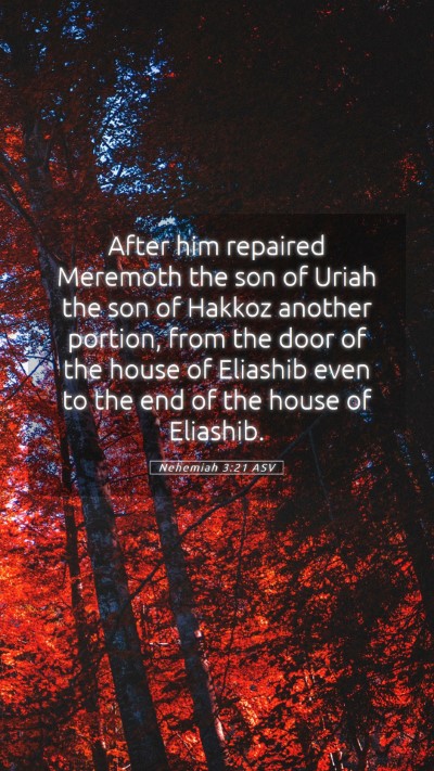 Picture 05 - Nehemiah 3:21 ASV Mobile Phone Wallpaper - After him repaired Meremoth the son of Uriah the - Mobile Bible Verse Wallpaper
