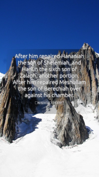 Picture 05 - Nehemiah 3:30 ASV Mobile Phone Wallpaper - After him repaired Hananiah the son of Shelemiah, - Mobile Bible Verse Wallpaper