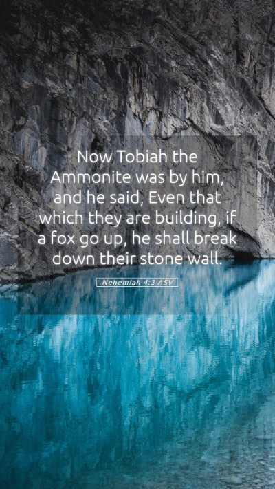 Picture 05 - Nehemiah 4:3 ASV Mobile Phone Wallpaper - Now Tobiah the Ammonite was by him, and he said, - Mobile Bible Verse Wallpaper