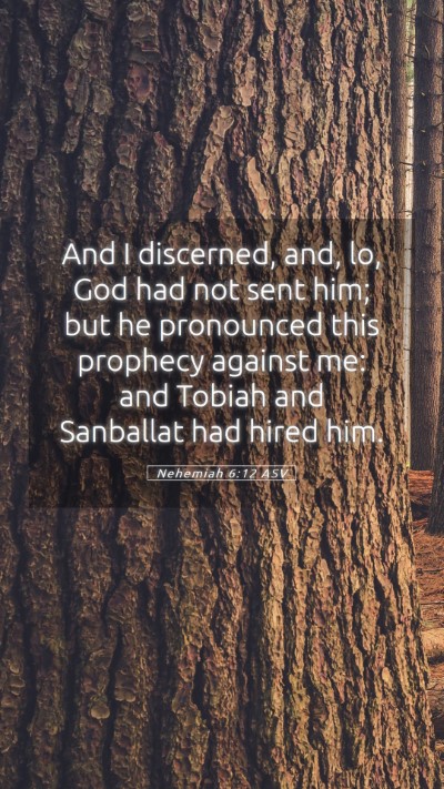 Picture 05 - Nehemiah 6:12 ASV Mobile Phone Wallpaper - And I discerned, and, lo, God had not sent him; - Mobile Bible Verse Wallpaper
