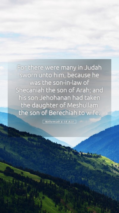 Picture 05 - Nehemiah 6:18 ASV Mobile Phone Wallpaper - For there were many in Judah sworn unto him, - Mobile Bible Verse Wallpaper
