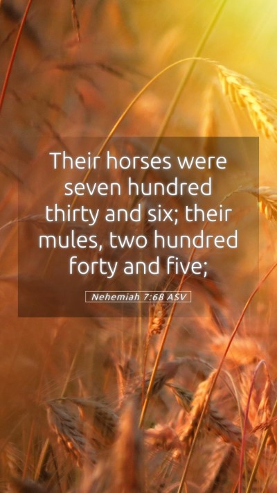Picture 05 - Nehemiah 7:68 ASV Mobile Phone Wallpaper - Their horses were seven hundred thirty and six; - Mobile Bible Verse Wallpaper