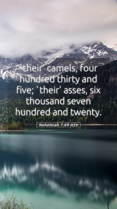 Picture 05 - Nehemiah 7:69 ASV Mobile Phone Wallpaper - `their' camels, four hundred thirty and five; - Mobile Bible Verse Wallpaper