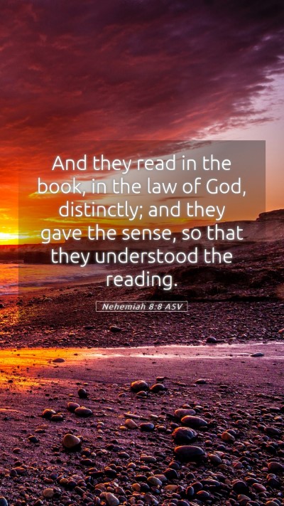 Picture 05 - Nehemiah 8:8 ASV Mobile Phone Wallpaper - And they read in the book, in the law of God, - Mobile Bible Verse Wallpaper