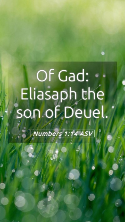 Picture 05 - Numbers 1:14 ASV Mobile Phone Wallpaper - Of Gad: Eliasaph the son of - Mobile Bible Verse Wallpaper