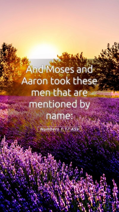 Picture 05 - Numbers 1:17 ASV Mobile Phone Wallpaper - And Moses and Aaron took these men that are - Mobile Bible Verse Wallpaper