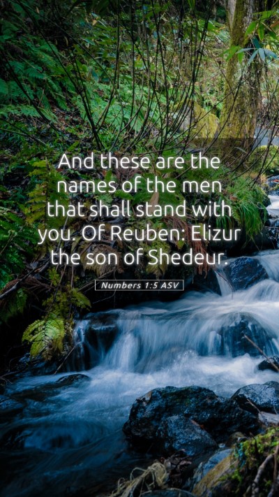 Picture 05 - Numbers 1:5 ASV Mobile Phone Wallpaper - And these are the names of the men that shall - Mobile Bible Verse Wallpaper