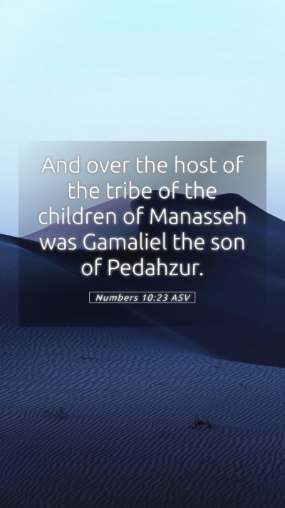 Picture 05 - Numbers 10:23 ASV Mobile Phone Wallpaper - And over the host of the tribe of the children of - Mobile Bible Verse Wallpaper