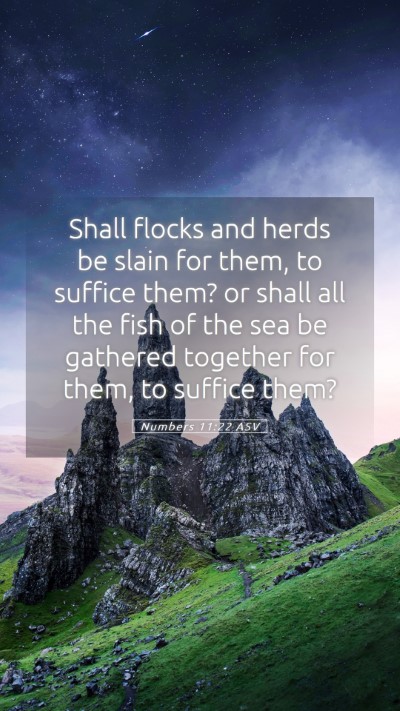 Picture 05 - Numbers 11:22 ASV Mobile Phone Wallpaper - Shall flocks and herds be slain for them, to - Mobile Bible Verse Wallpaper