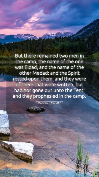 Picture 05 - Numbers 11:26 ASV Mobile Phone Wallpaper - But there remained two men in the camp, the name - Mobile Bible Verse Wallpaper