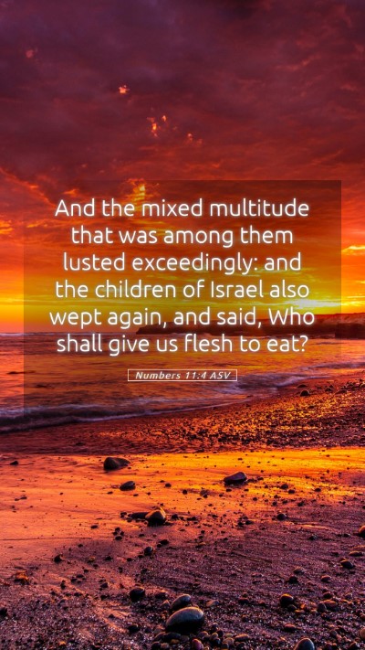 Picture 05 - Numbers 11:4 ASV Mobile Phone Wallpaper - And the mixed multitude that was among them - Mobile Bible Verse Wallpaper