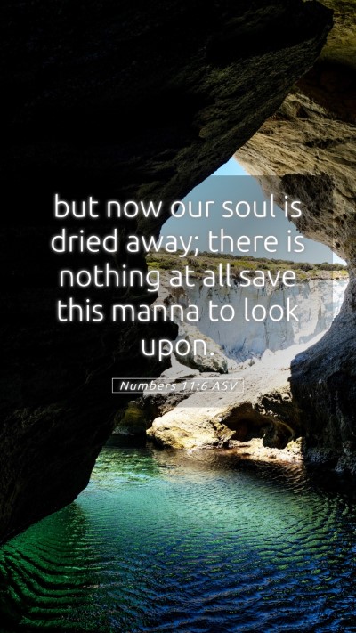 Picture 05 - Numbers 11:6 ASV Mobile Phone Wallpaper - but now our soul is dried away; there is nothing - Mobile Bible Verse Wallpaper