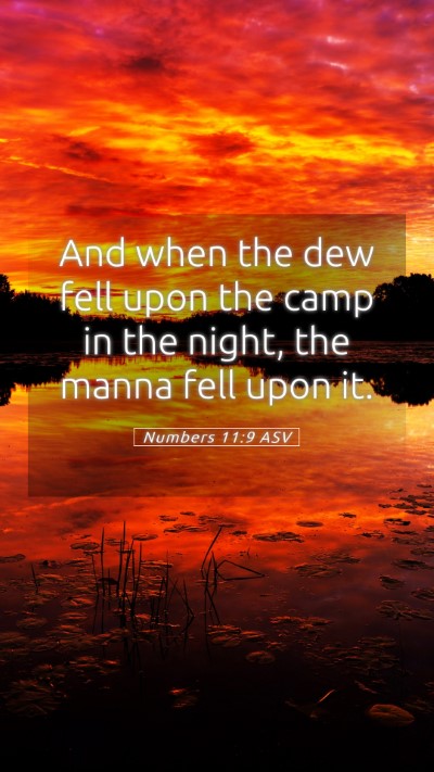 Picture 05 - Numbers 11:9 ASV Mobile Phone Wallpaper - And when the dew fell upon the camp in the night, - Mobile Bible Verse Wallpaper