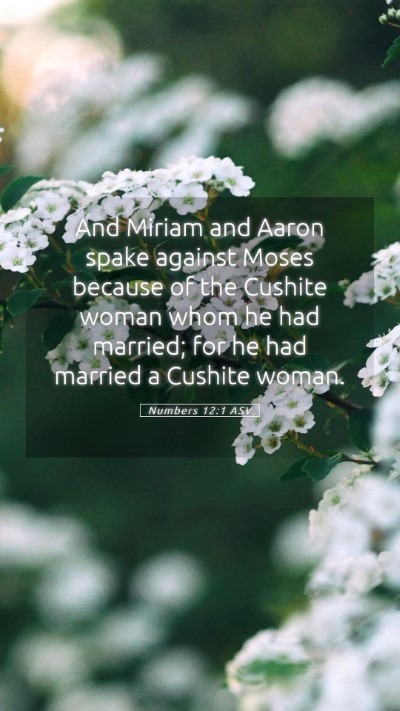 Picture 05 - Numbers 12:1 ASV Mobile Phone Wallpaper - And Miriam and Aaron spake against Moses because - Mobile Bible Verse Wallpaper