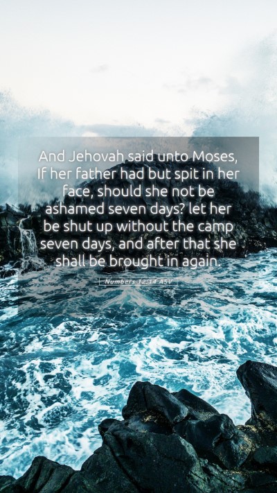 Picture 05 - Numbers 12:14 ASV Mobile Phone Wallpaper - And Jehovah said unto Moses, If her father had - Mobile Bible Verse Wallpaper