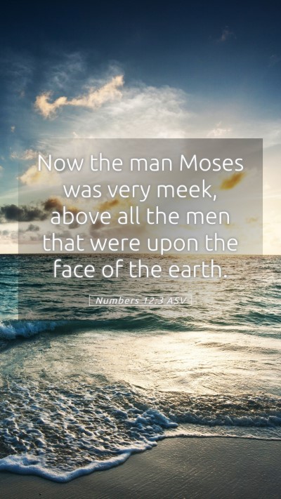 Picture 05 - Numbers 12:3 ASV Mobile Phone Wallpaper - Now the man Moses was very meek, above all the - Mobile Bible Verse Wallpaper