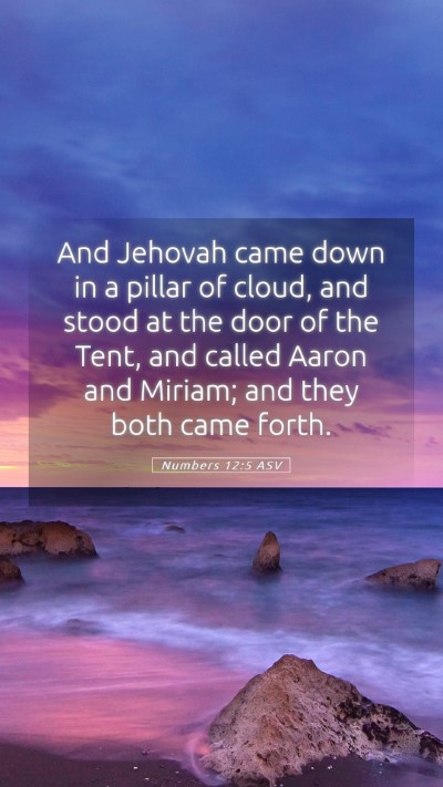 Picture 05 - Numbers 12:5 ASV Mobile Phone Wallpaper - And Jehovah came down in a pillar of cloud, and - Mobile Bible Verse Wallpaper