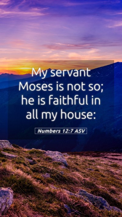 Picture 05 - Numbers 12:7 ASV Mobile Phone Wallpaper - My servant Moses is not so; he is faithful in all - Mobile Bible Verse Wallpaper