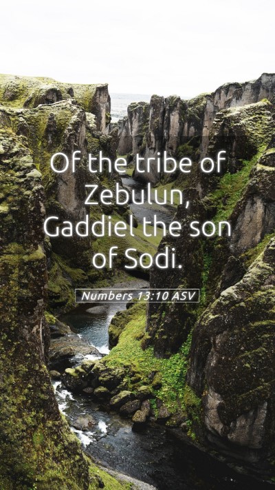 Picture 05 - Numbers 13:10 ASV Mobile Phone Wallpaper - Of the tribe of Zebulun, Gaddiel the son of - Mobile Bible Verse Wallpaper