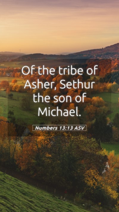 Picture 05 - Numbers 13:13 ASV Mobile Phone Wallpaper - Of the tribe of Asher, Sethur the son of - Mobile Bible Verse Wallpaper