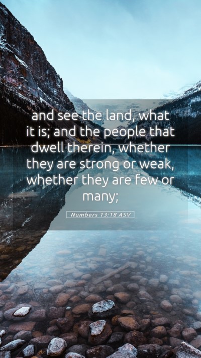 Picture 05 - Numbers 13:18 ASV Mobile Phone Wallpaper - and see the land, what it is; and the people that - Mobile Bible Verse Wallpaper