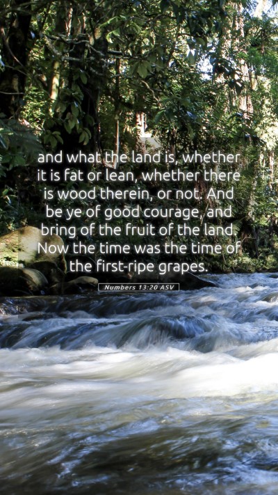Picture 05 - Numbers 13:20 ASV Mobile Phone Wallpaper - and what the land is, whether it is fat or lean, - Mobile Bible Verse Wallpaper
