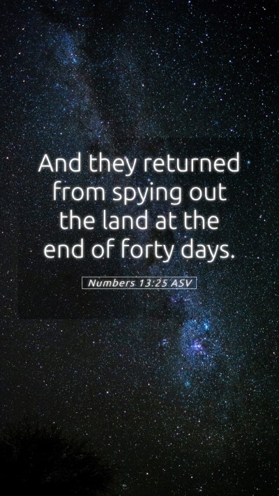 Picture 05 - Numbers 13:25 ASV Mobile Phone Wallpaper - And they returned from spying out the land at the - Mobile Bible Verse Wallpaper