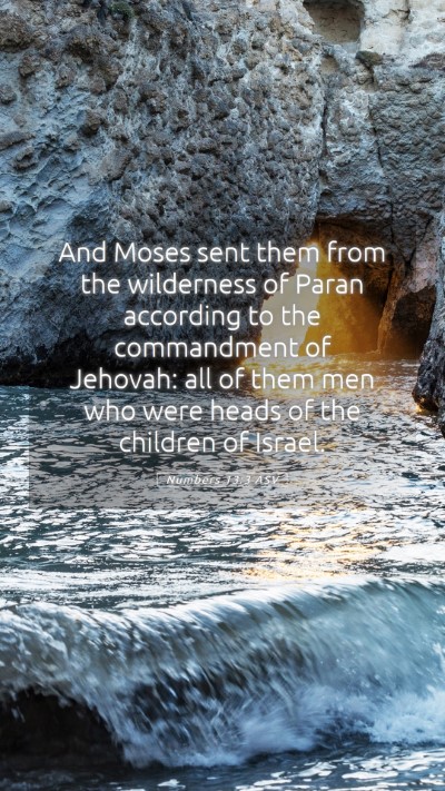 Picture 05 - Numbers 13:3 ASV Mobile Phone Wallpaper - And Moses sent them from the wilderness of Paran - Mobile Bible Verse Wallpaper