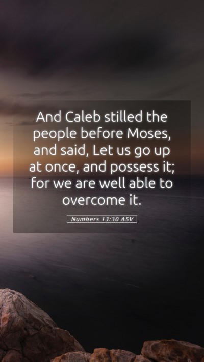 Picture 05 - Numbers 13:30 ASV Mobile Phone Wallpaper - And Caleb stilled the people before Moses, and - Mobile Bible Verse Wallpaper