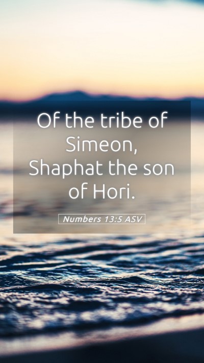 Picture 05 - Numbers 13:5 ASV Mobile Phone Wallpaper - Of the tribe of Simeon, Shaphat the son of - Mobile Bible Verse Wallpaper