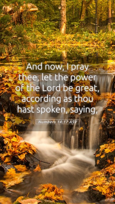 Picture 05 - Numbers 14:17 ASV Mobile Phone Wallpaper - And now, I pray thee, let the power of the Lord - Mobile Bible Verse Wallpaper
