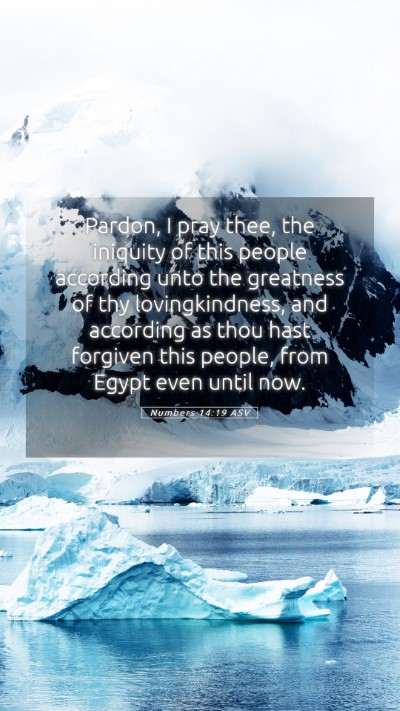 Picture 05 - Numbers 14:19 ASV Mobile Phone Wallpaper - Pardon, I pray thee, the iniquity of this people - Mobile Bible Verse Wallpaper
